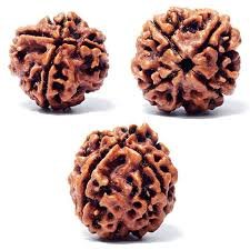 charmukhi rudraksh
