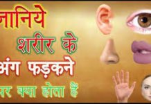 पीठ का फड़कना कब है शुभ, कब अशुभ