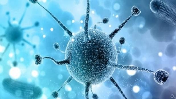 11_1580291749_618x347