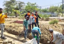 वार्ड जानकीपुरम तृतीय में ग्रीन बेल्ट के चारों तरफ लगी जाली