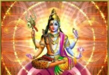 भगवान शिव का हरिहरात्मक रूप: एक देह में प्रकट हुए महादेव और विष्णु भगवान शिव का हरिहरात्मक रूप जिसमें एक ही शरीर में भगवान शिव और भगवान विष्णु के दिव्य स्वरूप का दर्शन