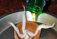 पितृ विसर्जन अमावस्या पर जलाएं आटे का चौमुखी दीपक
