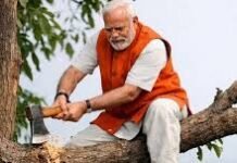 जिस डाल पर बैठे हैं मोदी, उसी को काटने में जुटे हैं!